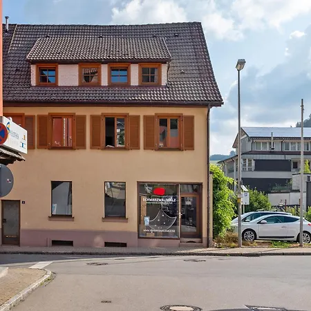 Apartament Reinhardt *